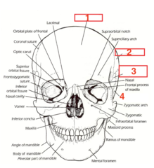<p>What structure is 4?</p>