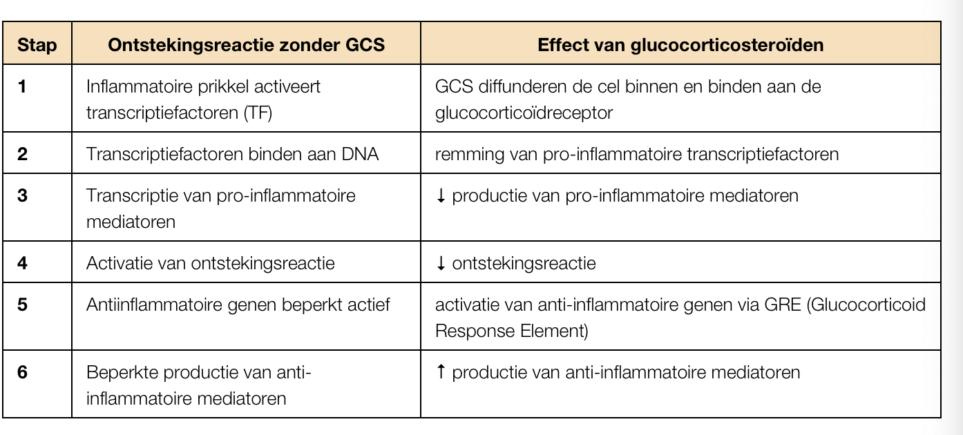 <ul><li><p>verbeteren longfunctie en geven minder onsteking en exacerbateis</p></li><li><p>gebruikt als eerstelijnsbehandeling voor astma</p></li><li><p>bv: beclometason, fluticasone, ciclesonide, bedusonide (ook bij M. Crohn gebruikt)</p></li><li><p>ook evt. gebruikt bij COPD-exacrebaties en onderhoudsbehhandeling</p></li><li><p>bijwerkingen: hoesten, dorge mond, heesheid, orofaryngeale condidiase</p></li></ul><p></p>