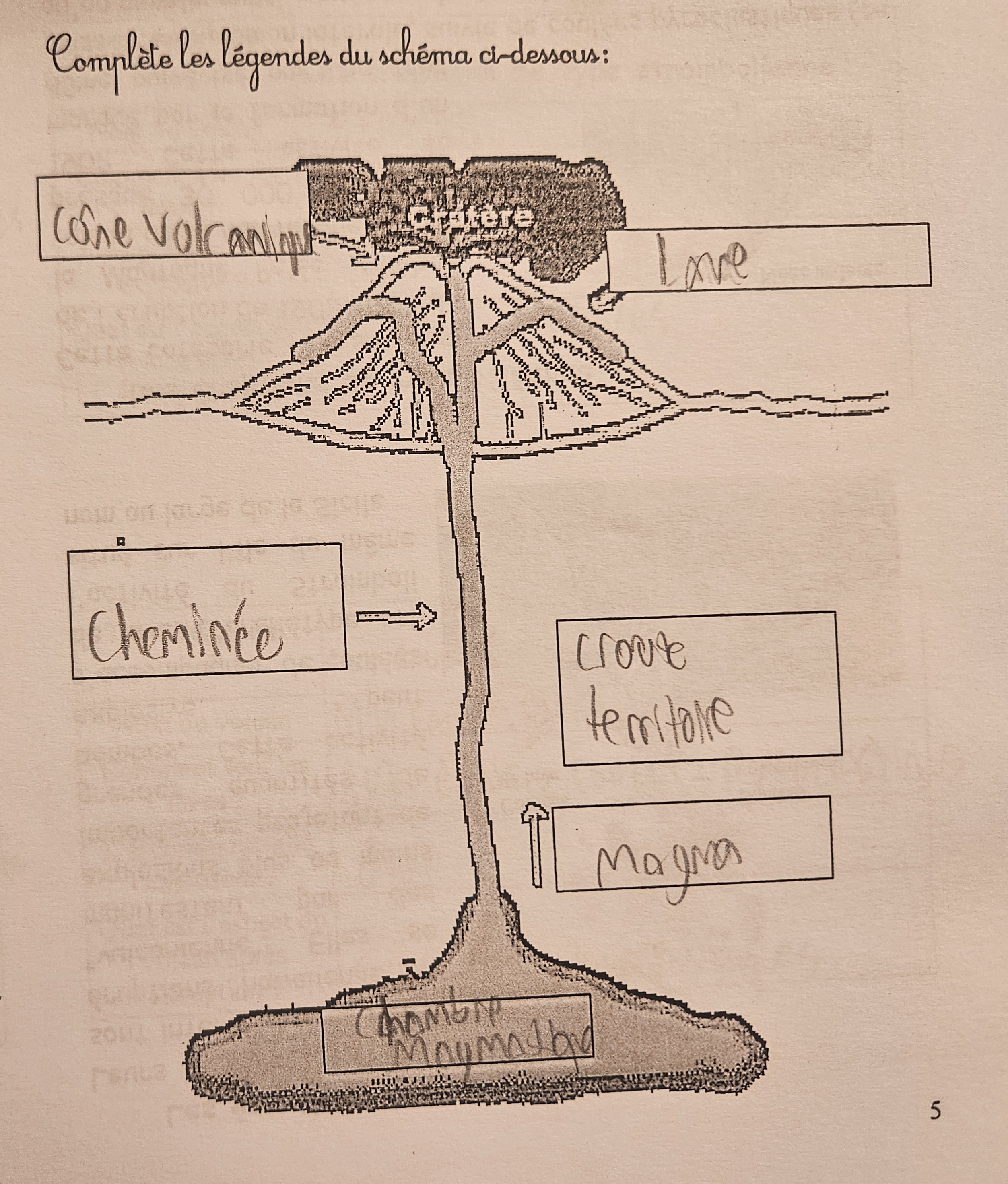 <p>Cone volcanique, lave, cheminee(pathway of lava), croute terreste, magma, chambre magmatiques(magma chamber). Aussi les fumeroles et caldeiras.</p>