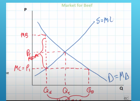 <p>price of beef is below equilibrium price, creates shortage MB > MC</p>