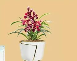 Flowerpot