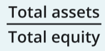 <p>[Total Assets] / [Total Equity]</p>