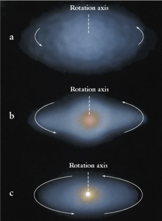<p>Born from the collapse of gas clouds </p><p>Due to conservation of angular momentum they collapse (shrink in size) and start spinning faster</p>