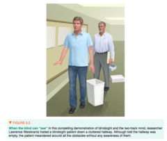 <p>a condition in which a person can respond to a visual stimulus without consciously experiencing it.</p>