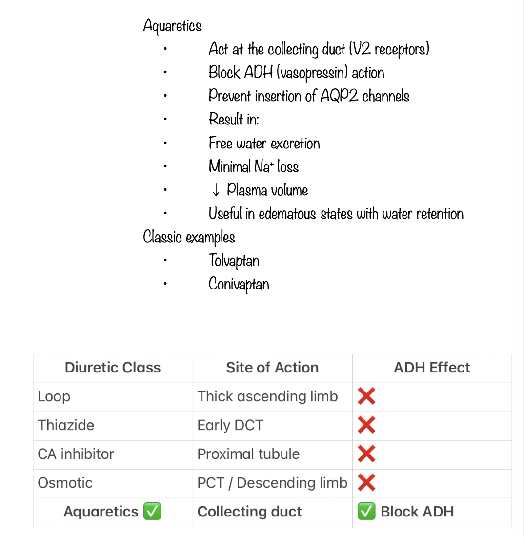 <p>D - Aquaretics</p>