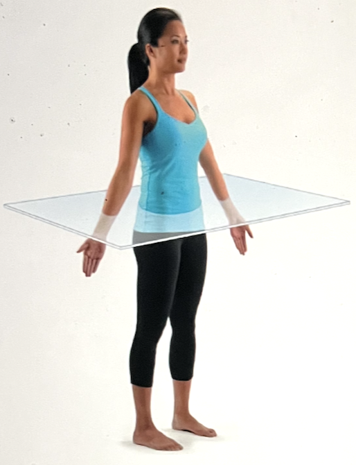 <p>identify the body plane</p>