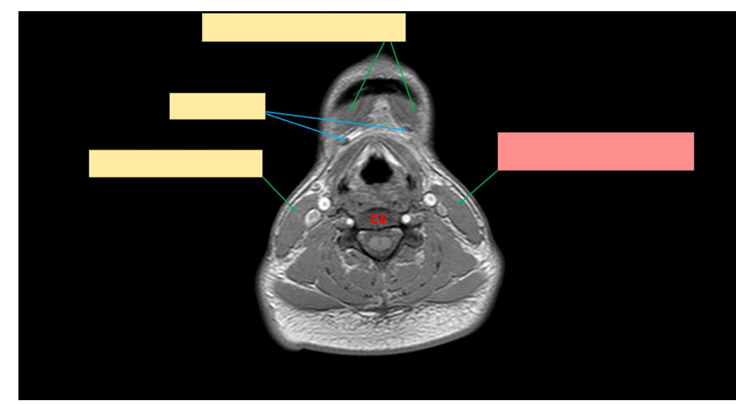 <p>What is this structure?</p>