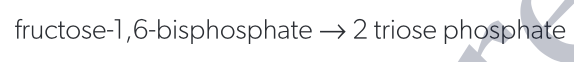 <p>fructose-1,6-bisphosphate → 2 triose phosphate</p>