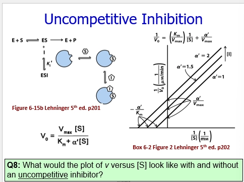 <ul><li><p>an unusual type of inhibition, where to inhibit the Enzyme, the inhibitor cannot bind unless S has alread bound on</p></li><li><p>may be due to AS & inhibitor sites overlapping, due to S binding causing a confo change to open up inhibitor site, etc</p></li><li><p>once bound on, it prevents the ES from dissociating to form E + P or E + S. therefore the enzyme catalytic ability is decreased, as the S is trapped, and the enzyme cannot continue catalysing more </p></li><li><p>decreases Km. deccreases Vmax</p></li><li><p>in the ESP equation we add an extra step after ES <=> ES + I<=> ESI</p></li></ul><p></p>