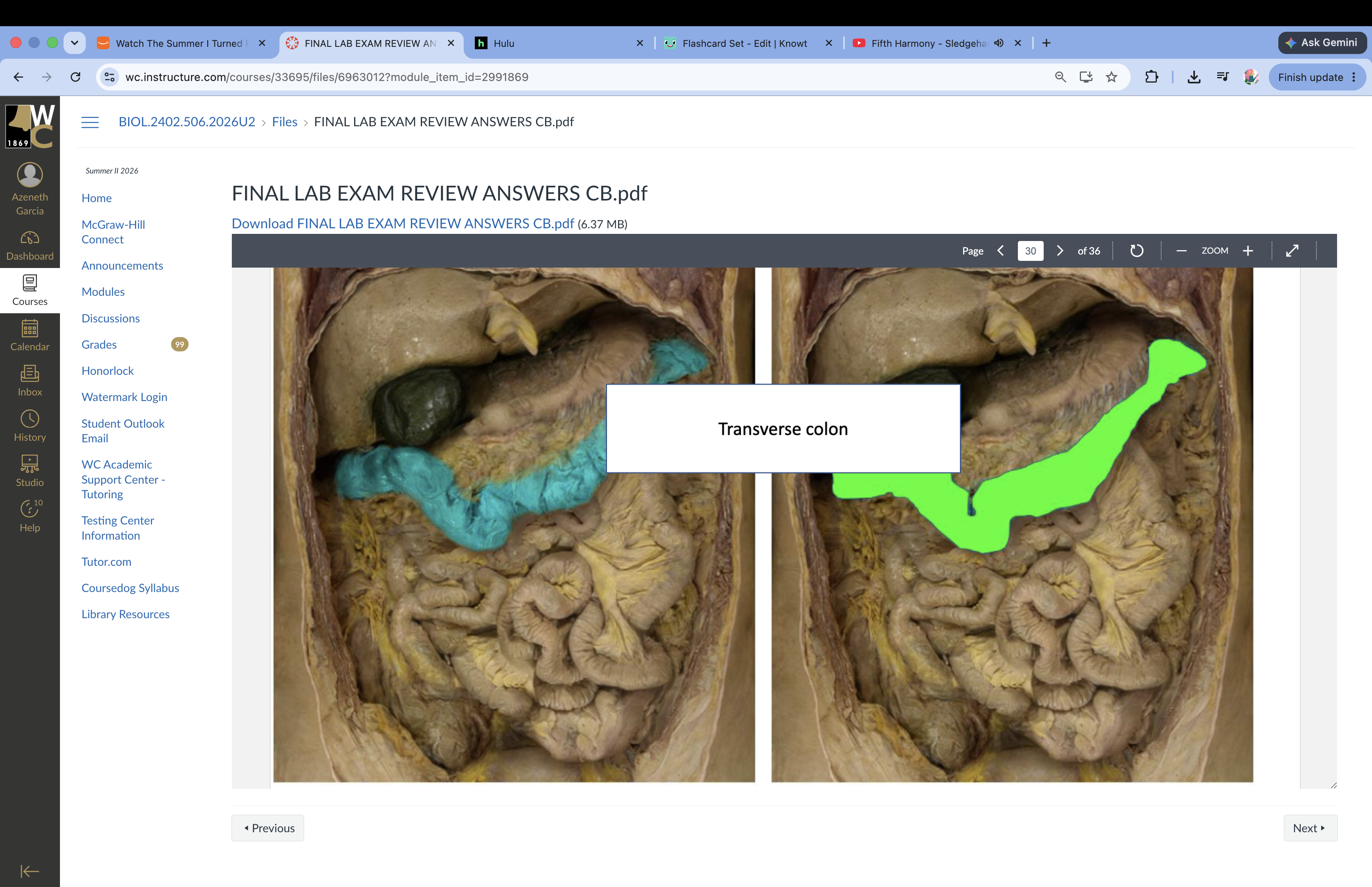 knowt flashcard image