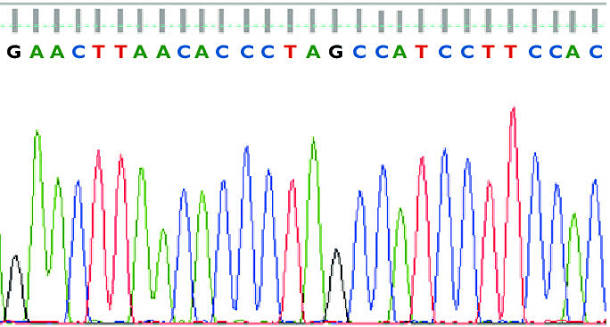 <p>a fast, cost-effective way of reading the sequence of small targeted regions of the genome<span>.</span></p>