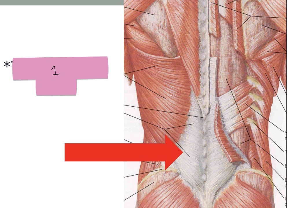 <p>What is the arrow pointing to?</p>