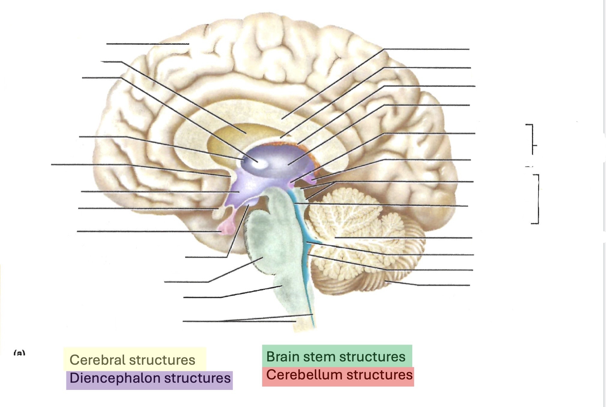 <p><a target="_blank" rel="noopener noreferrer nofollow" class="link" href="https://assets.knowt.com/user-attachments/18f7cae6-cf77-476a-add0-25c495b7e598.jpg" data-prevent-progress="true">https://assets.knowt.com/user-attachments/18f7cae6-cf77-476a-add0-25c495b7e598.jpg</a></p>