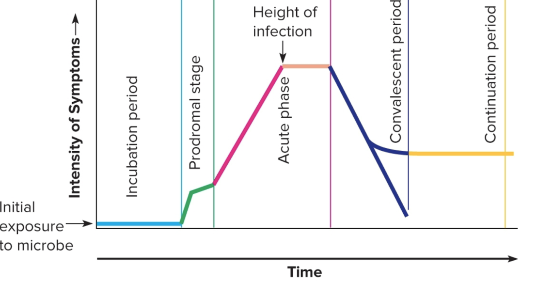 <p>What fucking kind of diagram is this?</p>
