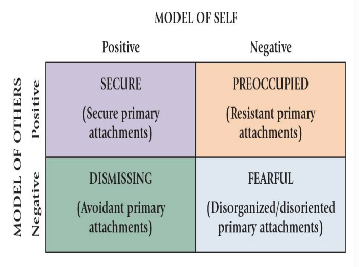 <p>Attachment and Later Development - Internal working models</p>