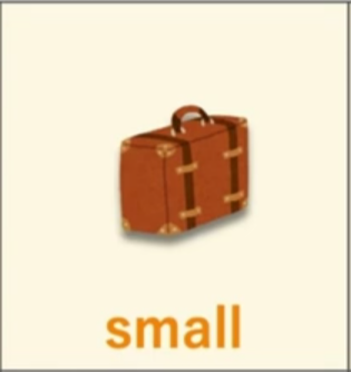 <p>Small</p>