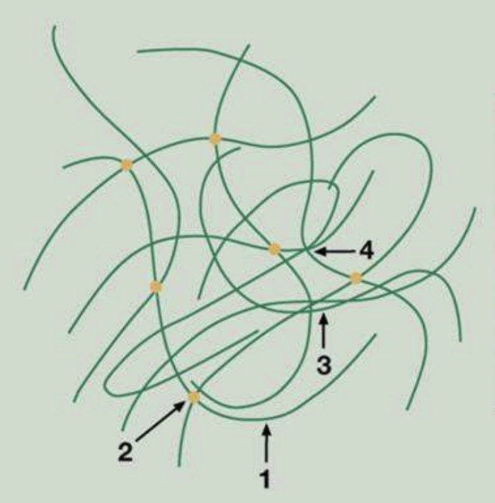 <ol><li><p><span>Chemical bonds : within the polymer chain, between monomers (high bonding force, require a lot of energy to break)</span></p></li><li><p><span>Cross linking : chemical bonds between different polymer chains</span></p></li><li><p><span>Interactions between the molecules : secondary interactions (van der Waals forces, hydrogen bonds, dipole/dipole interactions...) between different polymer chains</span></p></li><li><p><span>Mechanical bonds : polymer chains are physically entangled with each other (like a spaghetti bowl)</span></p></li></ol><p></p>