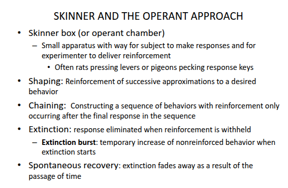 <p><strong>Shaping</strong></p>