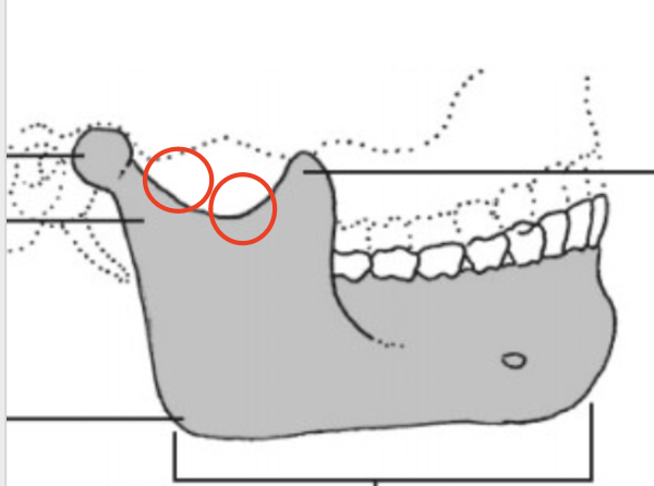 <p>Identify</p>