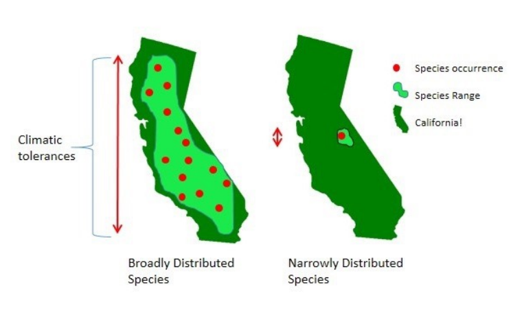 <p>Geographic diversity </p>