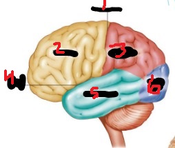 <p>1</p>