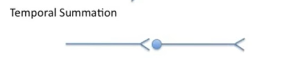 <p>describe Temporal summation (1 mark)</p>