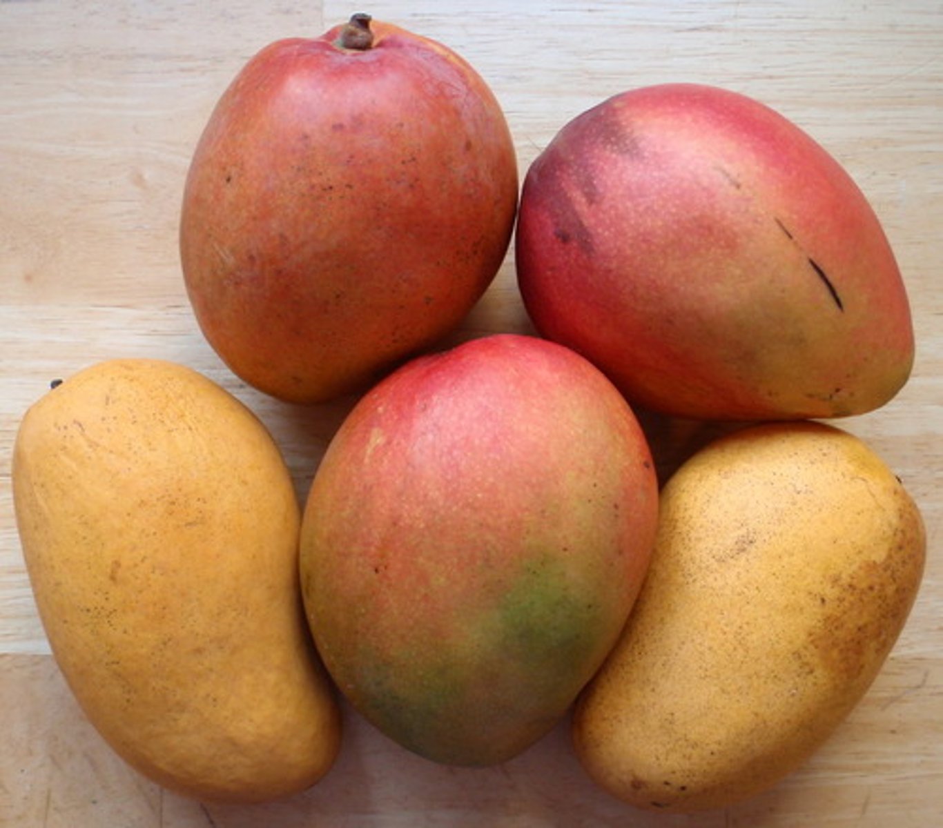 <p>ang mga mangga</p>