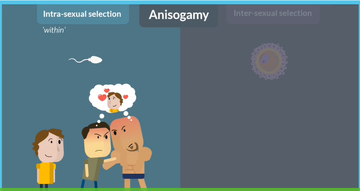 <p>many</p><p>more</p><p>intra </p>