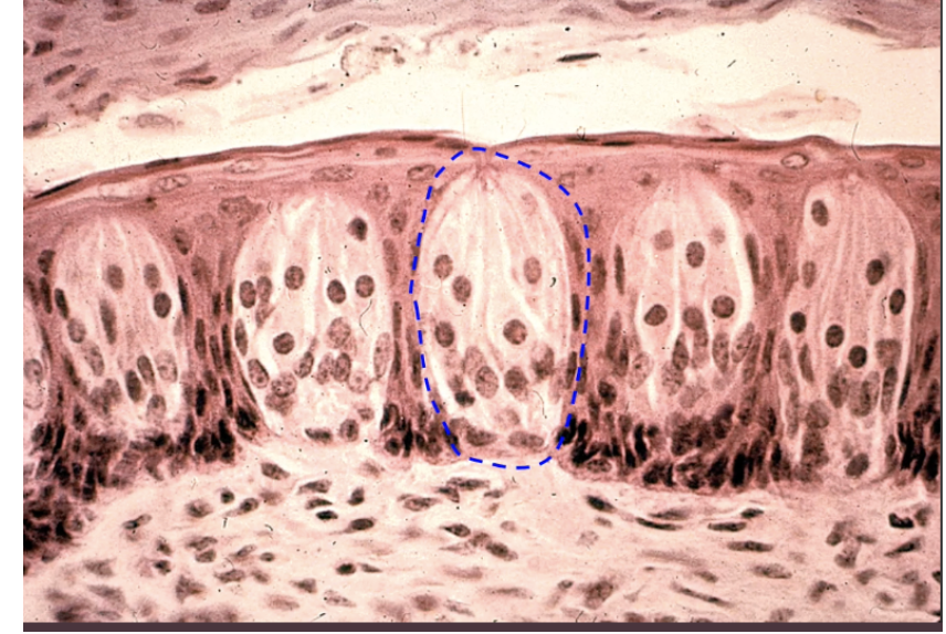 <p>what is this? </p>