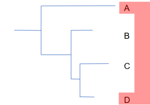 <p>what group?</p>