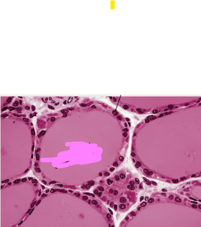 <p>what is this?</p>