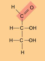 <p>the carbonyl group at the end is a(n) … and the sugar is a(n)</p>