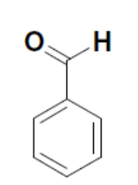 <p>Common name</p>