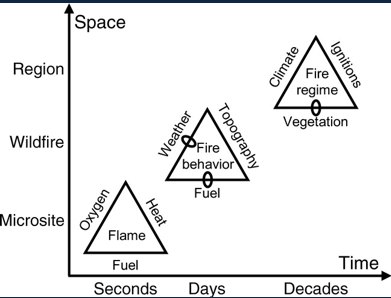 <p>Spatiotemporal fire regimes </p>