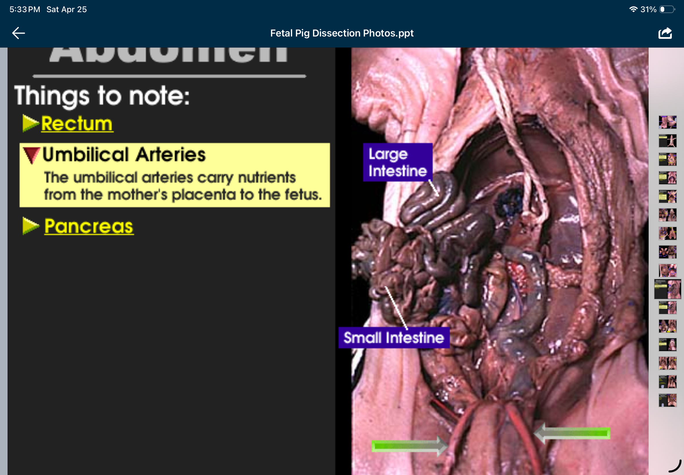 knowt flashcard image