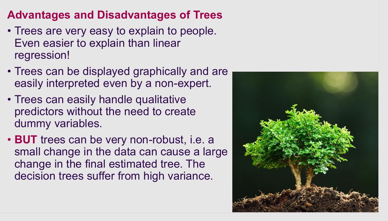<ul><li><p><strong>What it means:</strong> Why don't we just use single Decision Trees for everything?</p><p></p></li><li><p></p><p><strong>The translation:</strong> * <em>The Pros:</em> They are incredibly easy to explain to your boss, and they don't require you to turn categories (like "Male/Female") into fake numbers (dummy variables) .</p><p></p><ul><li><p></p><p><em>The Con:</em> They have <strong>High Variance</strong> . This means they are extremely fragile. If you change just two or three people in your massive spreadsheet, the computer might draw a completely different flowchart!</p></li></ul></li></ul><p></p>
