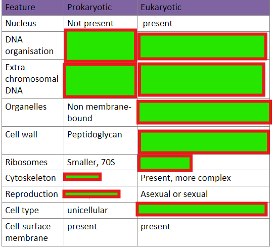 <p>Fill in the blanks </p>
