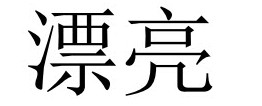 <p>漂亮 (piàoliang)</p>