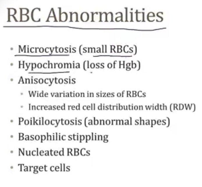<p>-hemoglobinopathy</p><p>-condition where both beta globin chains are mutated</p><p>-ineffective erythropoiesis, where alpha chains form tetramers and cause RBC damage/abnormalities</p><p>-yes; anemia within first year of life</p><p>-hemoglobin electrophoresis</p><p>-blood transfusions; iron overload</p>
