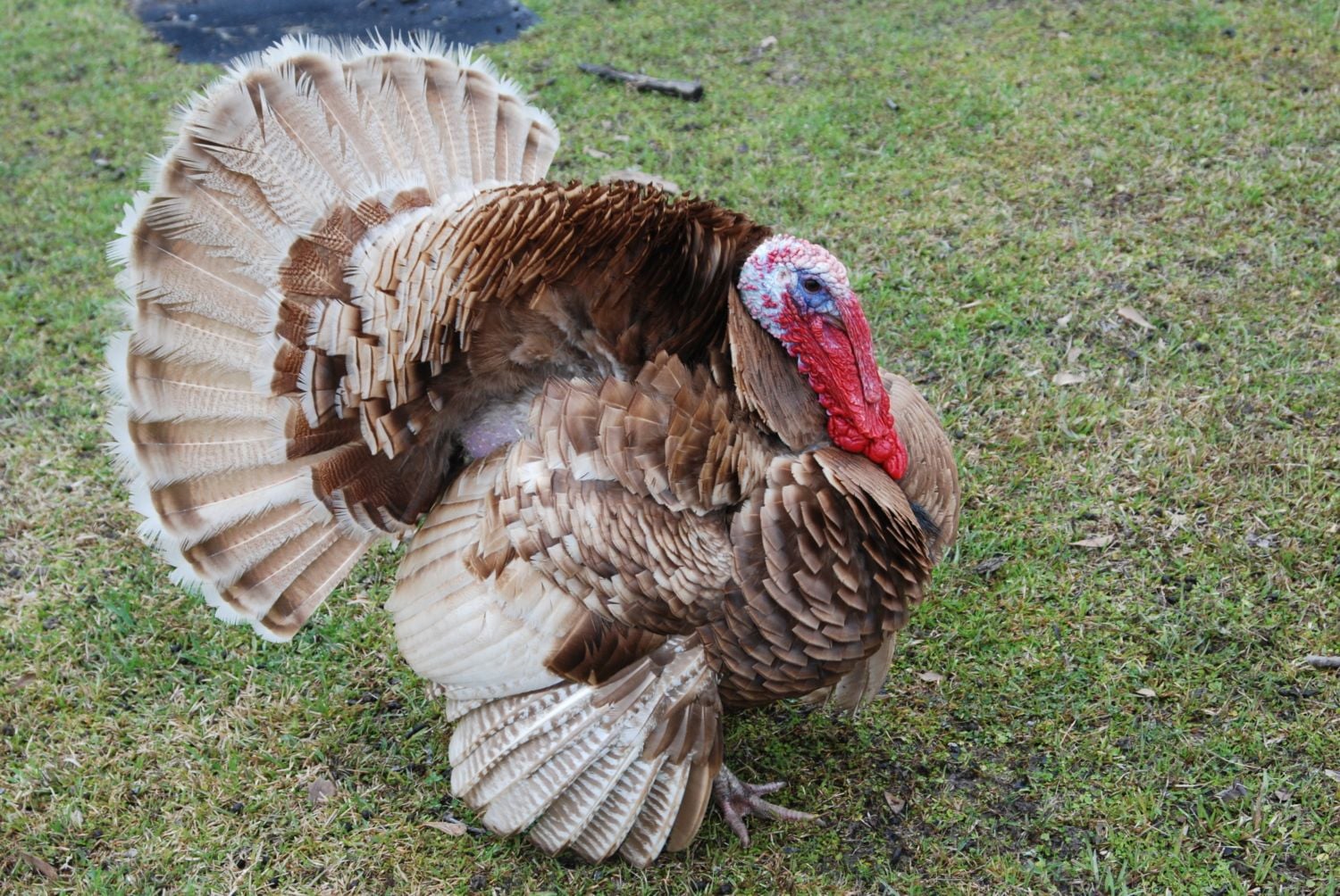 <p>identify</p>