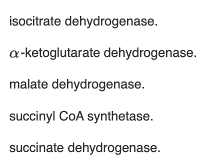 <p><span>Each of the following citric acid cycle enzymes catalyzes electron transfer to NADH/FADH</span><sub>2</sub><span> </span><em>except</em></p>