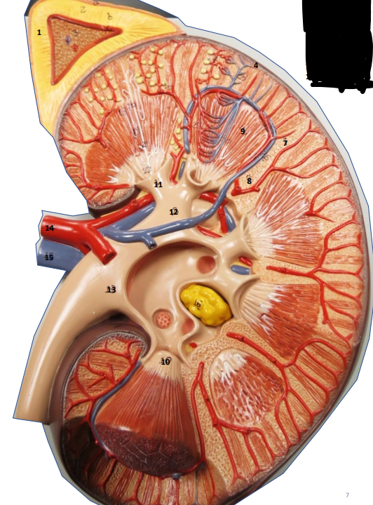 <p>Label this image.</p>