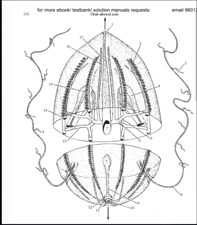 <p>Number 1 on this diagram is what?</p>