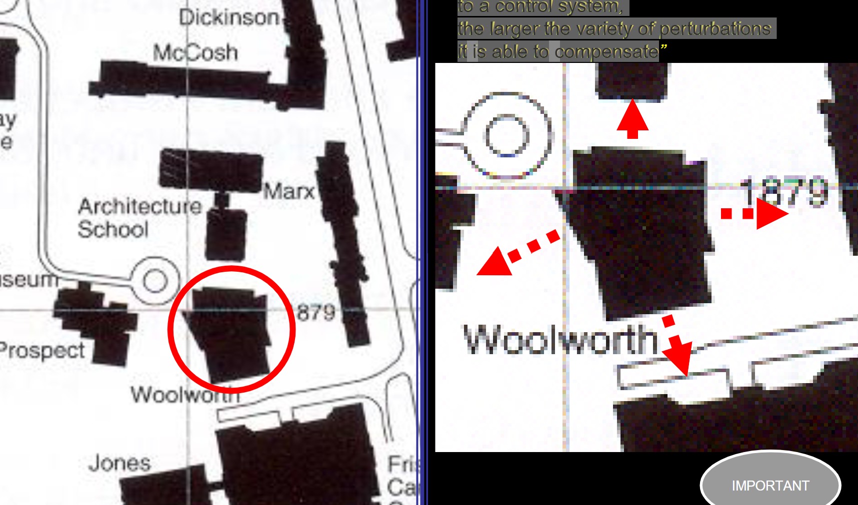 term image