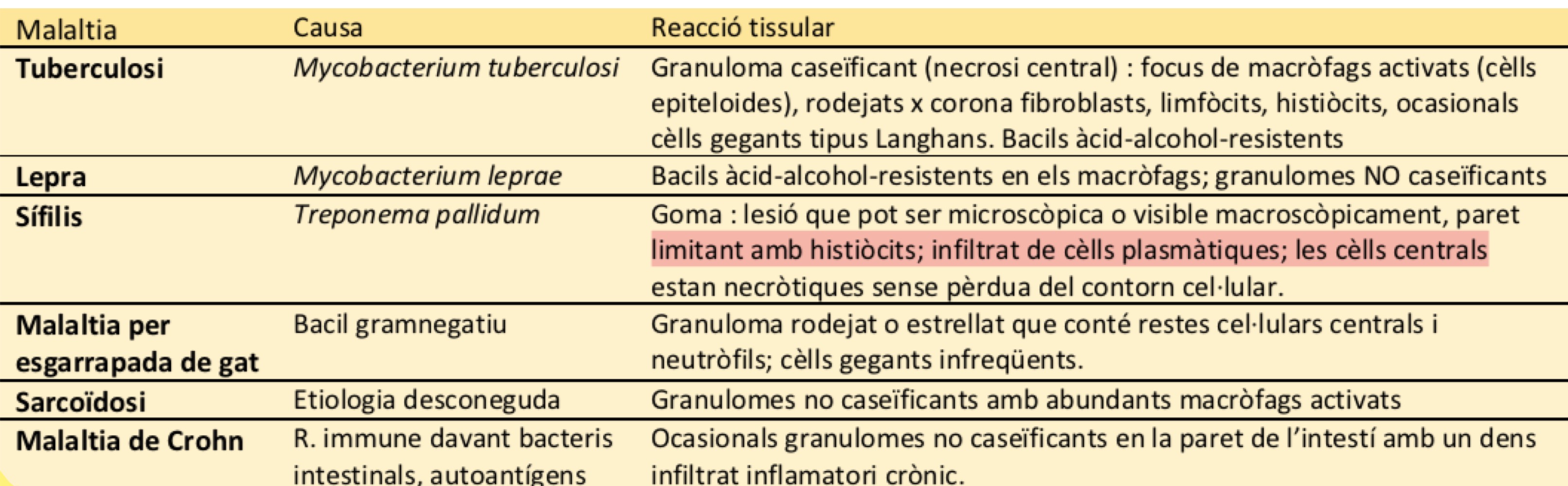 <p>Granuloma: La inflamacion granulomatosa es una forma de inflamación cronica caracterizada por colecciones de macrofagos activados, a menudo co linfocitos T y a veces asociada a necrosis central. </p><p>Celula epiteloide: Macrofagos activados de los granulomas</p><p>EJEMPLOS EN LA IMAGEN </p>