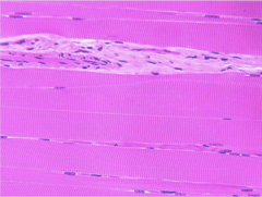 <p>What does this image show?</p>