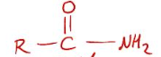 <p>What is the suffix for this terminal functional group?</p>