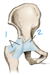 <p>2</p>