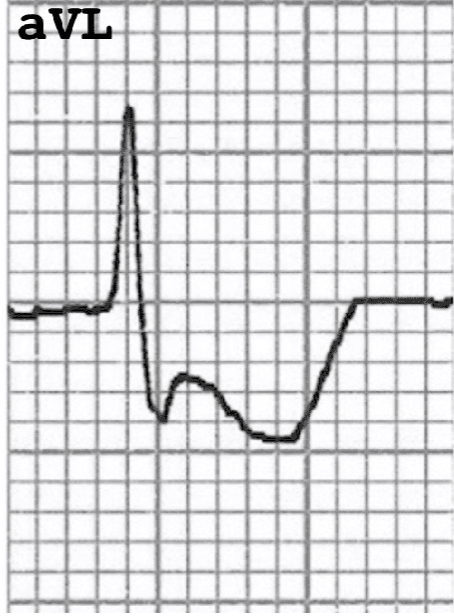 <p>What is this?</p>