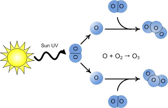 <p>The Formation of Ozone</p>